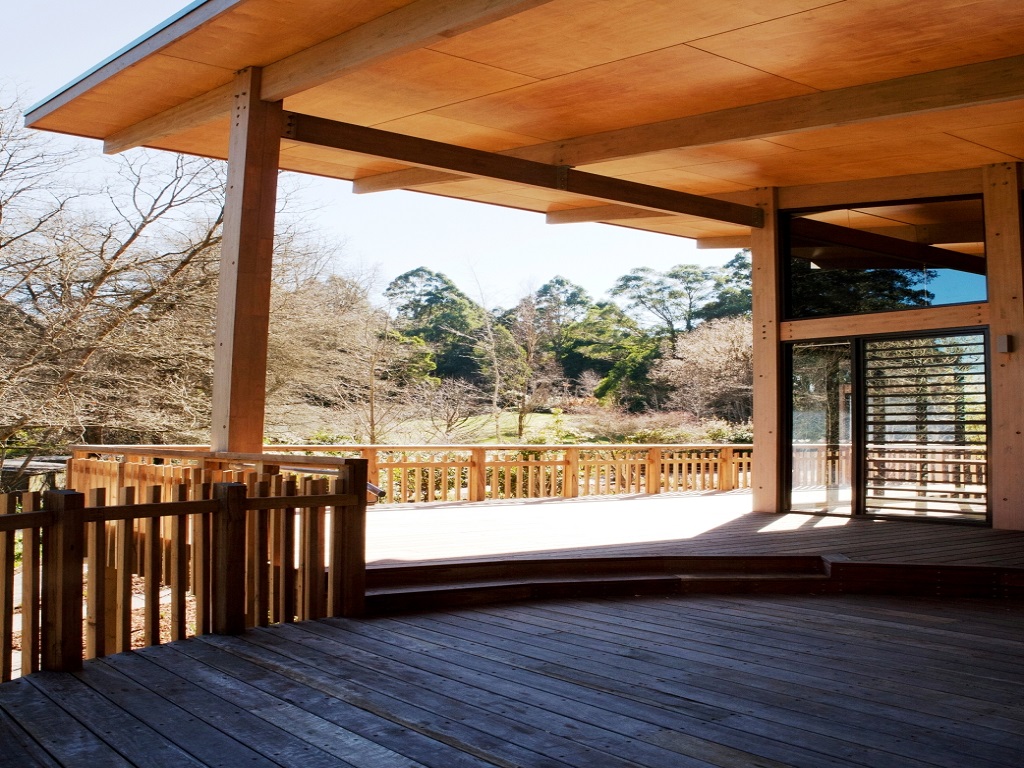 undefined featured image