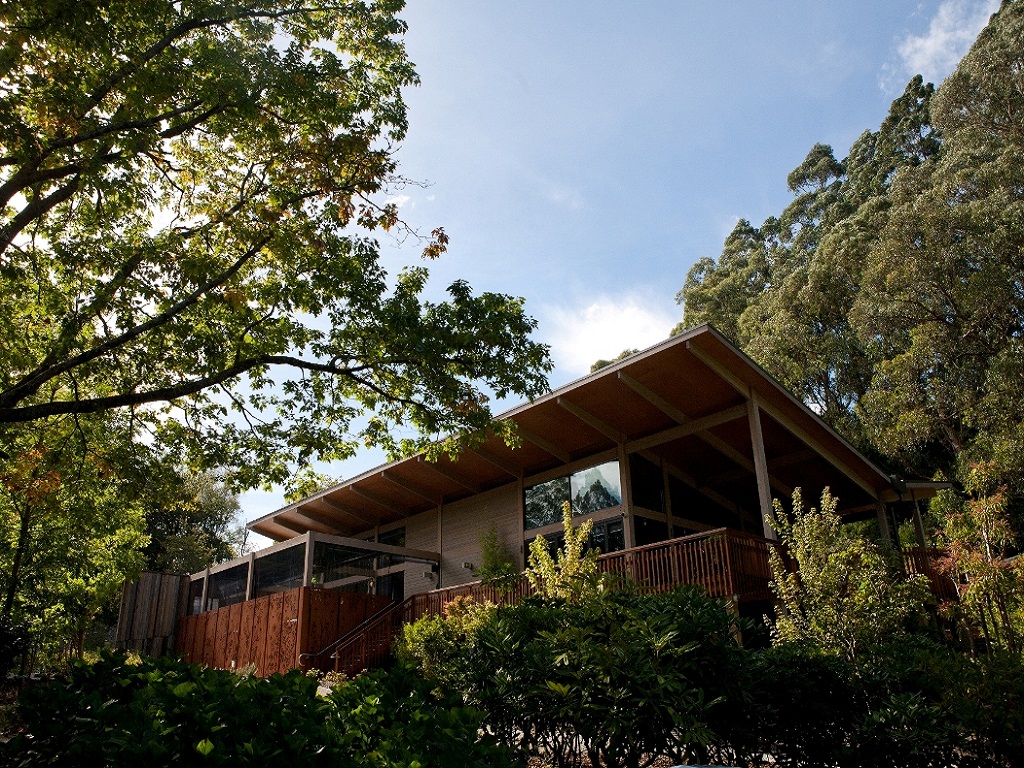 undefined featured image